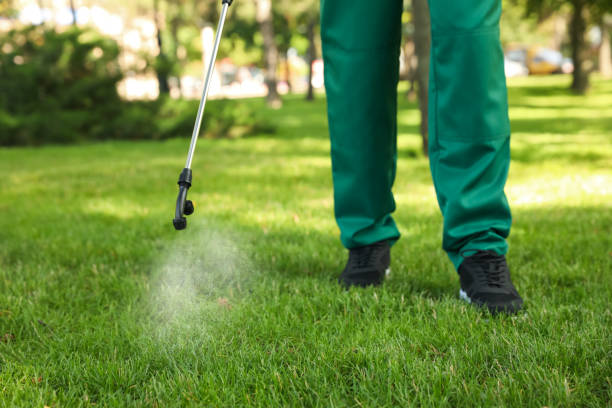 Best Local Pest Control Services  in Pleasantville, IA